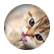 Maya004