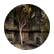 MissAMullett