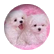 Mmckayab