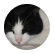 MoniqyMewWof