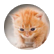 MsOowise