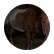 NBrunk