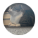 NHPuffin