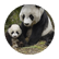 Panda0530