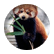 PandaLover01