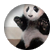 PandaLuver123