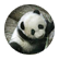 Pandacrazy