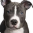 PaulJor