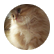 Peanutbutter33