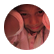 PinkPyjamas