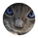 PnSvTwRl
