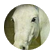 Ponylover2012