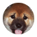Pumpernickle
