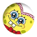 RKaikobadi1