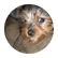 Raganpup