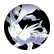 Reshiram