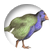 RoomTakahe