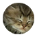STELLAKALY