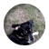 Scarysarabeara5