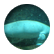 Sea1