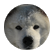 ShanBerc