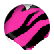 Shikilla6