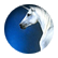 Silvershine