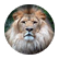 StoryLion