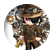 Th71