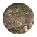 Tigerpaw