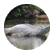 Toadmuffin24