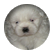 VonnieRox