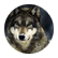 WolfStory