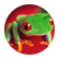 Xuxa022