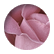 aL_421