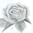 acolon