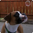 agrundler