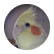 albertjack
