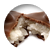 almondjoy