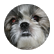 annie12231