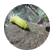 argie307