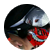 arturobernal