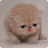astoye