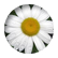 babyangle9953