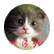 bambahvj