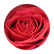 bedofroses