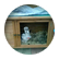 birdy123