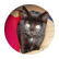 blackie1