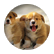boydma