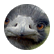 brian123
